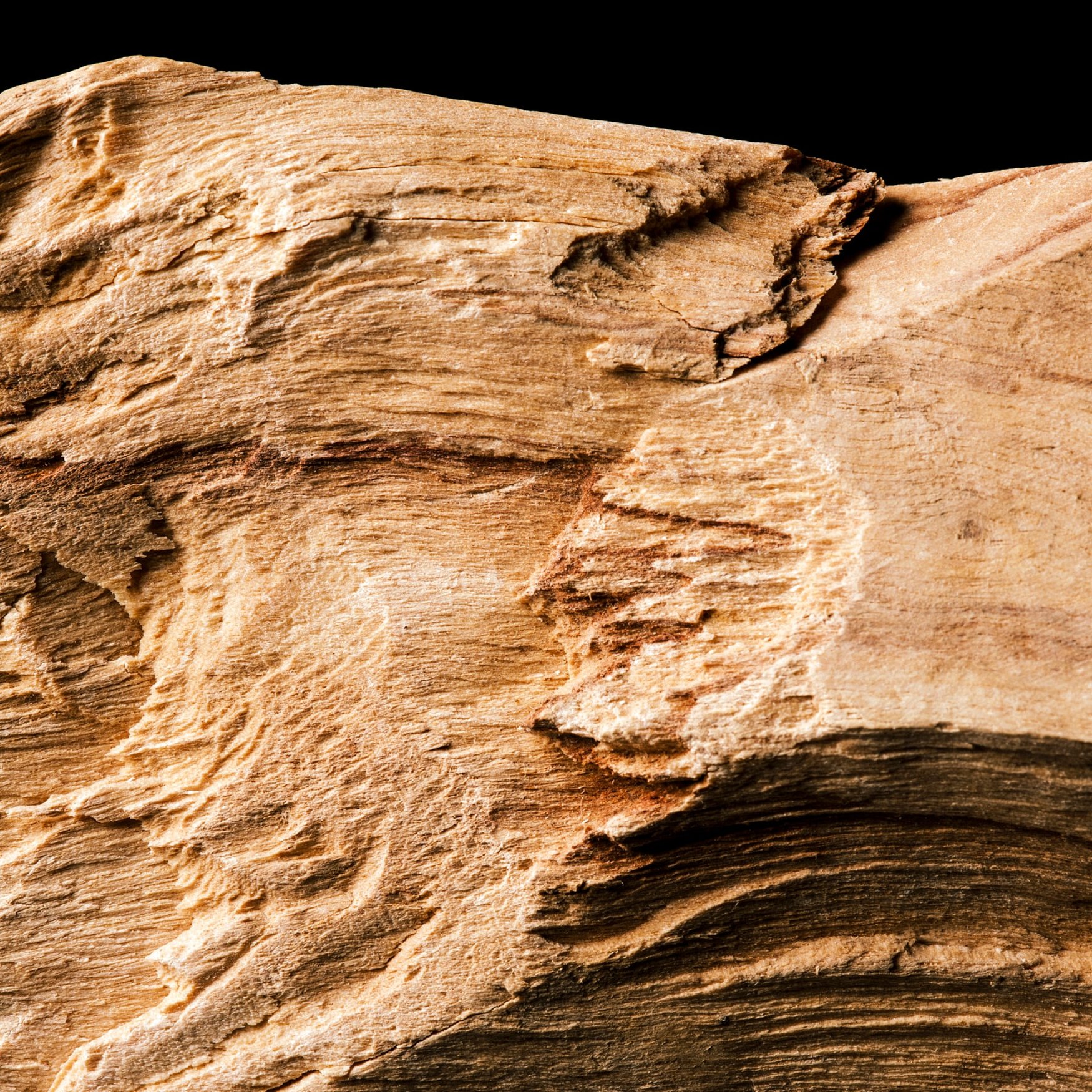 Guaiac Wood