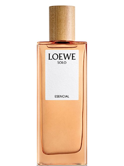 Esencia de 2024 loewe primor