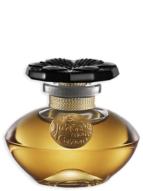 NARCISSE NOIR perfume by Caron - Wikiparfum NARCISSE NOIR perfume by Caron - Wikiparfum