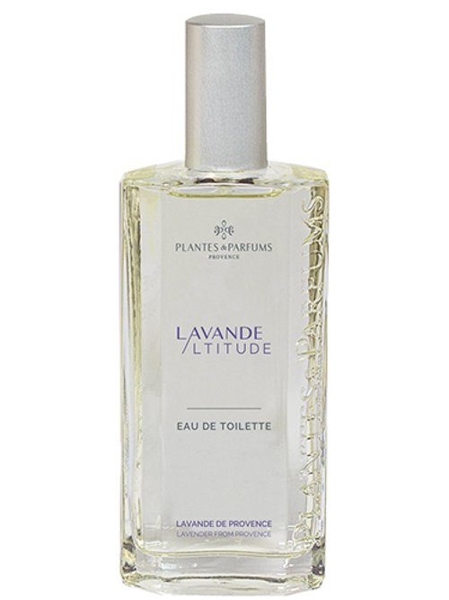 plants are purple krperbutter Rose Body Butter with Cupuau for Smooth, Nourished Skin
