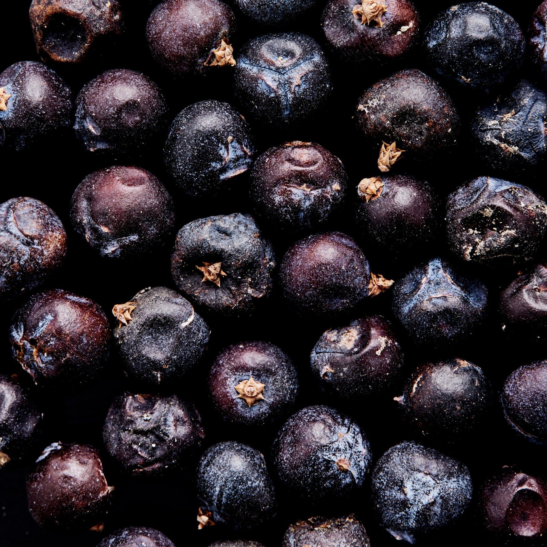 Juniper Berries