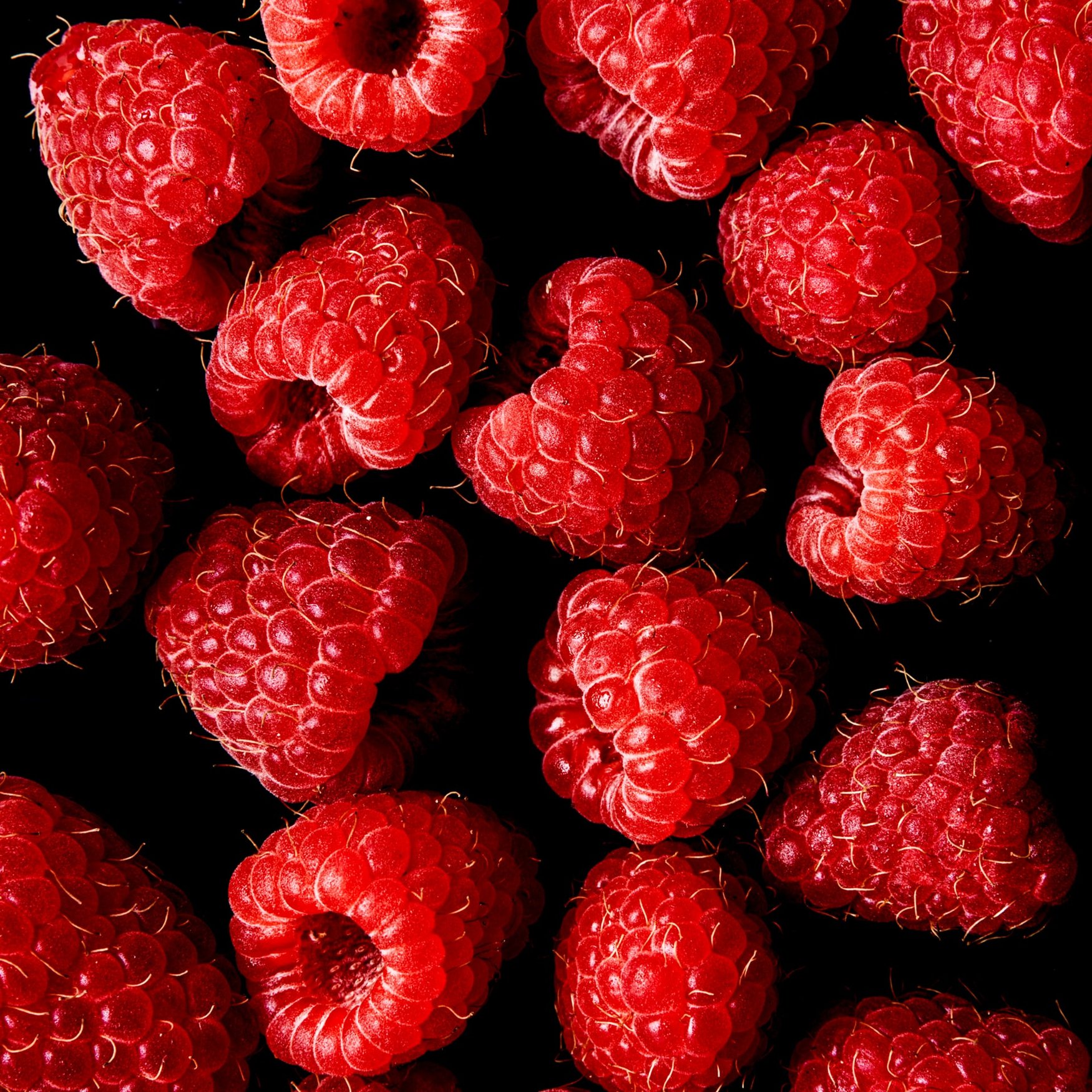 Framboise