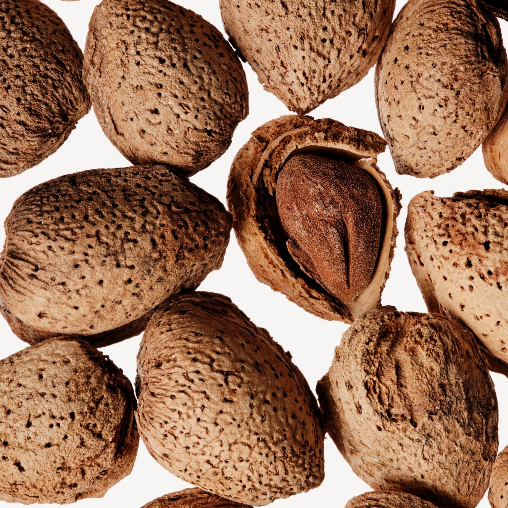 Almond Roasted