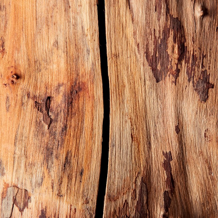 香水(ユニセックス) TAMBURINS PERFUME WHITE DARJEELING パフューム ホワイト ダージリン - 50mL | TAMBURINS