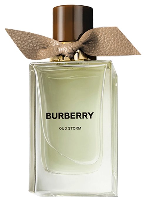 Burberry Extreme Botanicals Oud Storm Eau de Parfum (100ml) - Multi - One Size