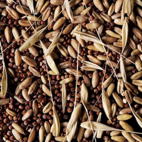 OAT & CORNFLOWER 2018 perfume by Jo Malone London - Wikiparfum