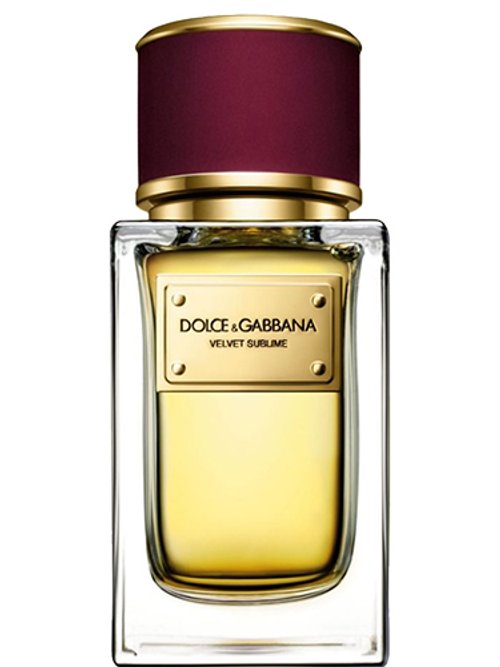 VELVET GINESTRA perfume by Dolce Gabbana Wikiparfum