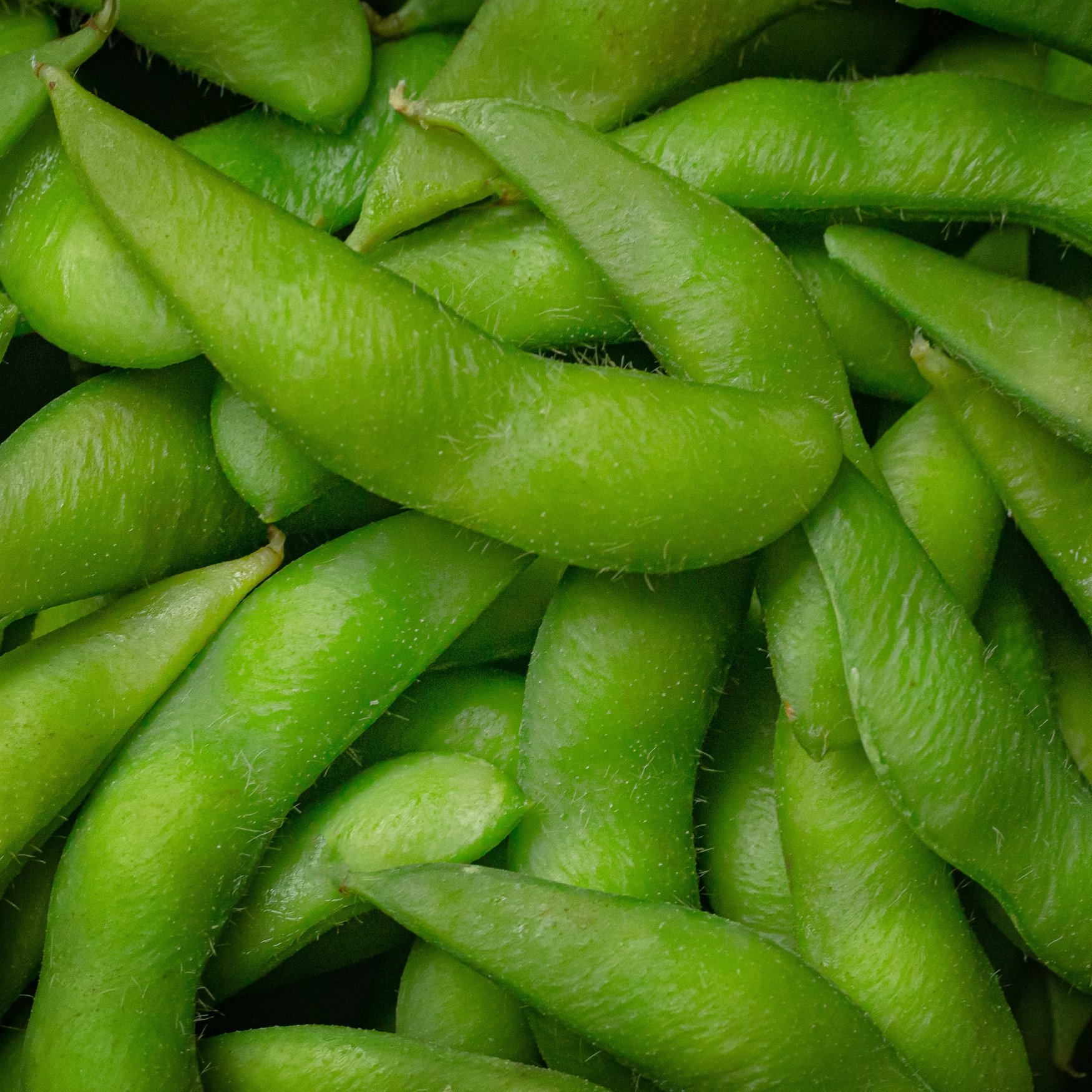 Edamame