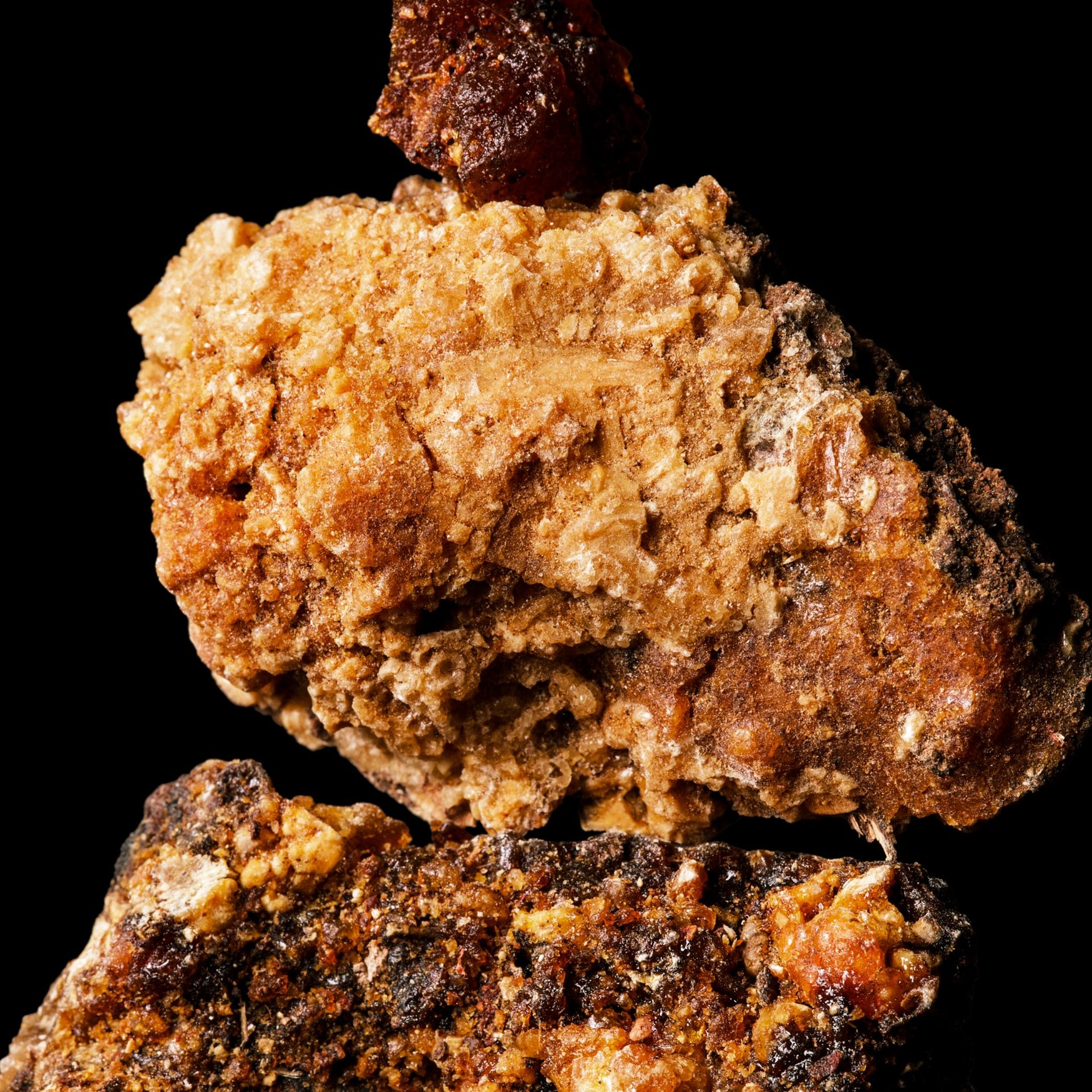 Opopanax