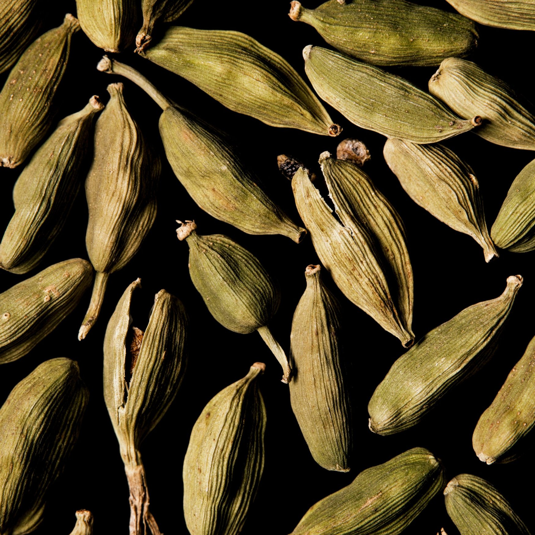 Cardamome