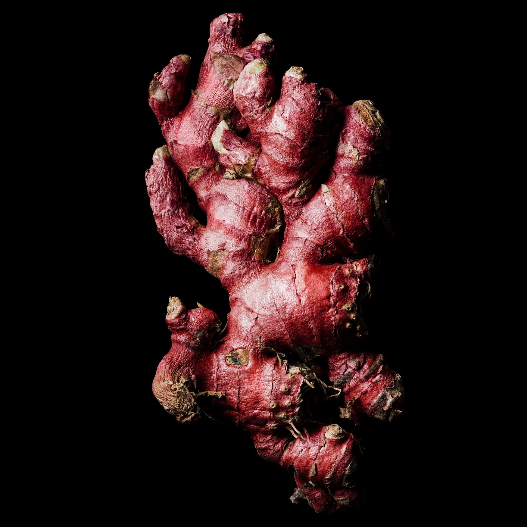 Roter Ingwer
