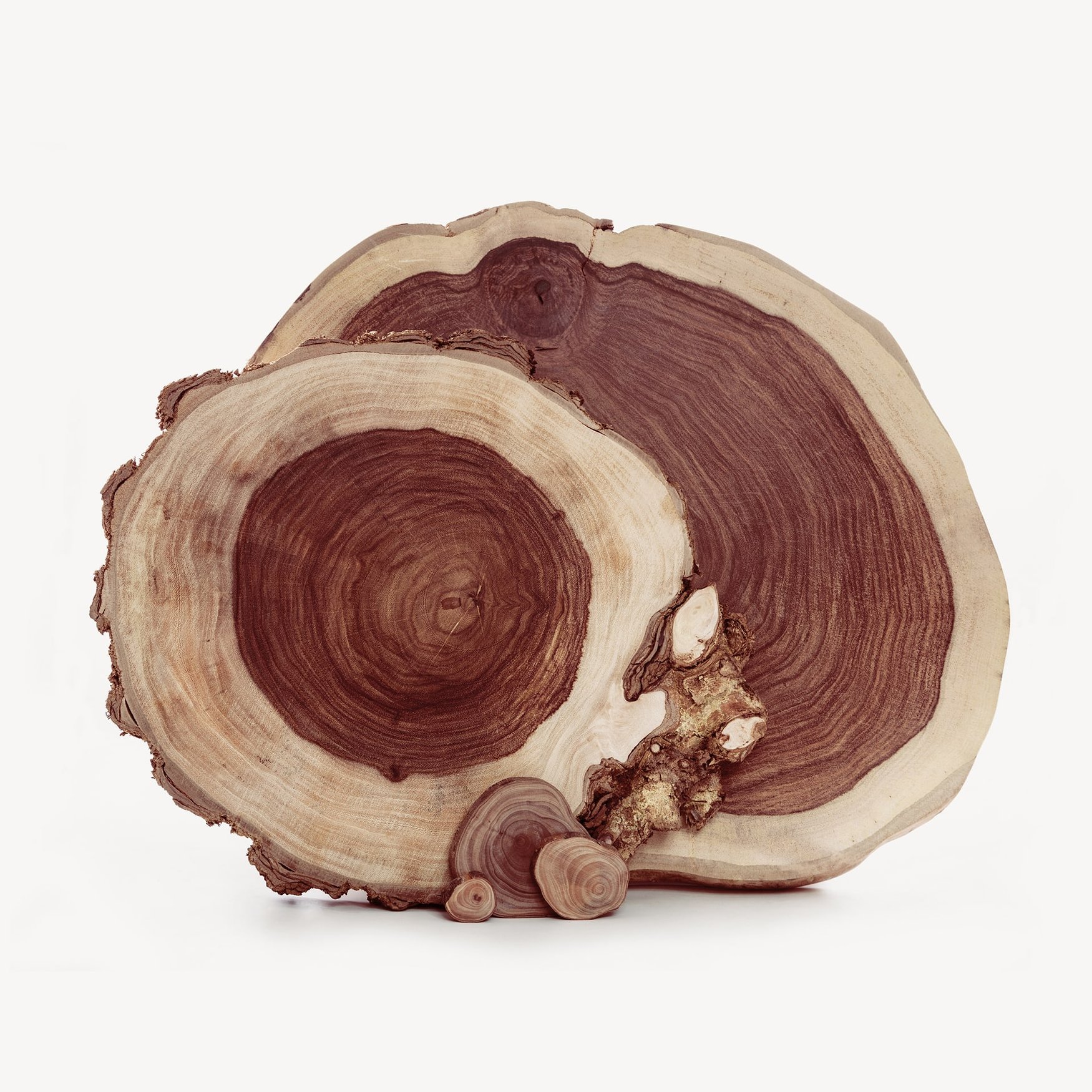 Bois de Rose / Palissandre