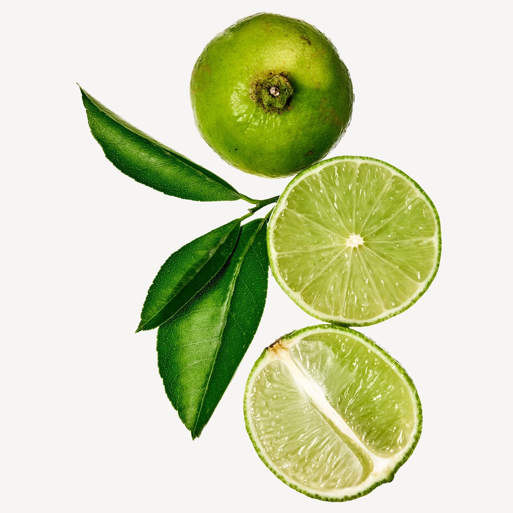 Limette