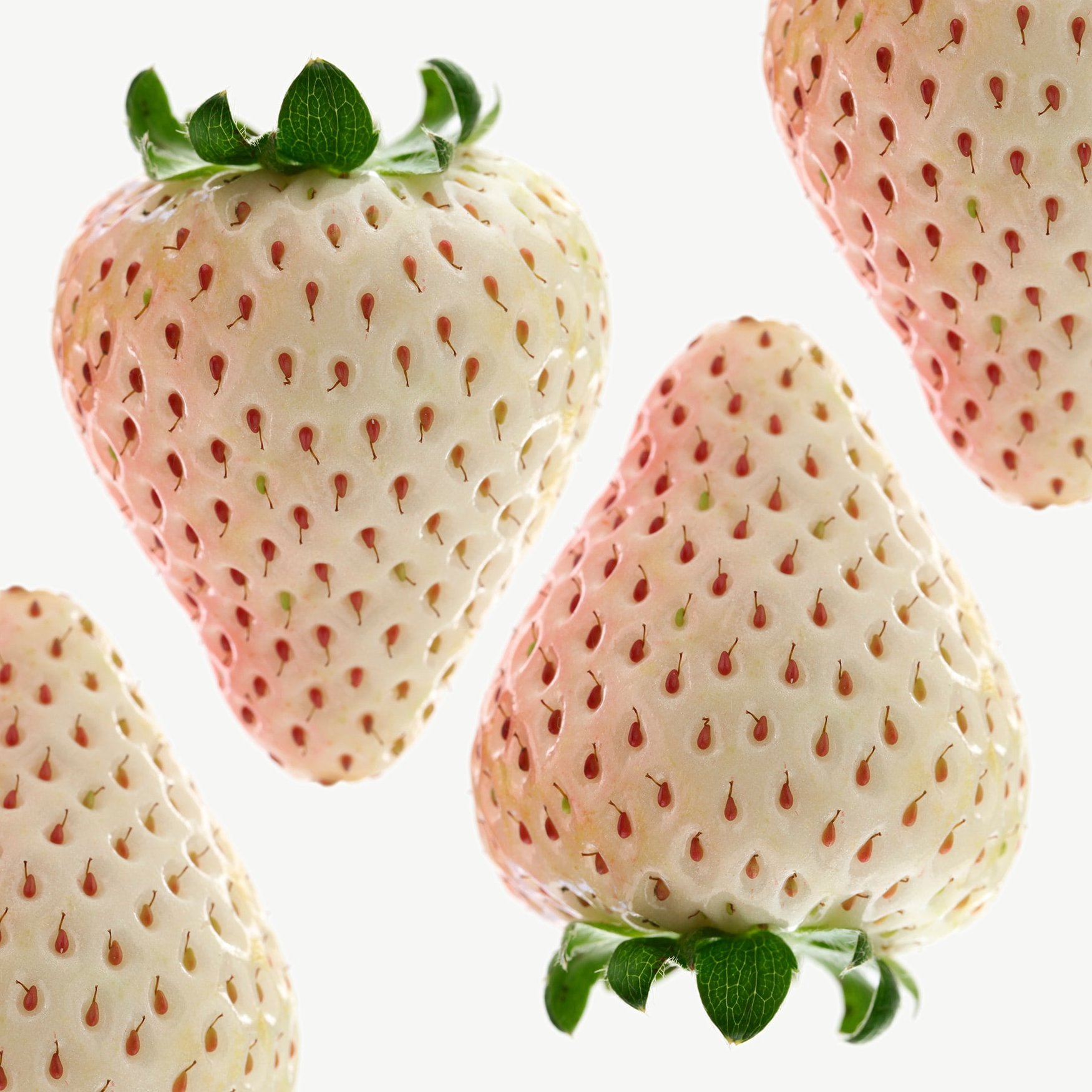 Pineberry