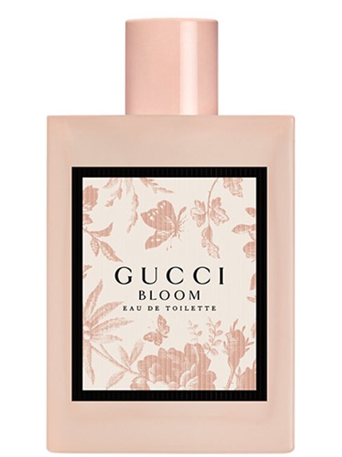 GUCCI BLOOM EAU DE TOILETTE perfume by Gucci - Wikiparfum