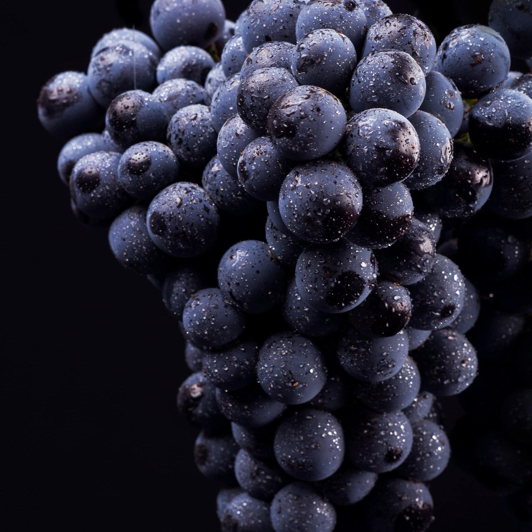 Uvas