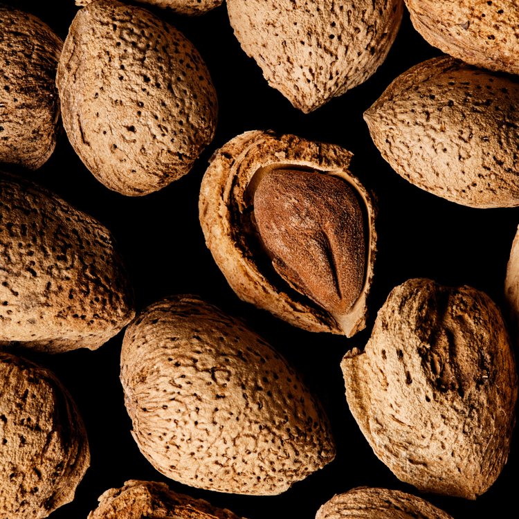 GULNAZ perfume de Tola - Wikiparfum