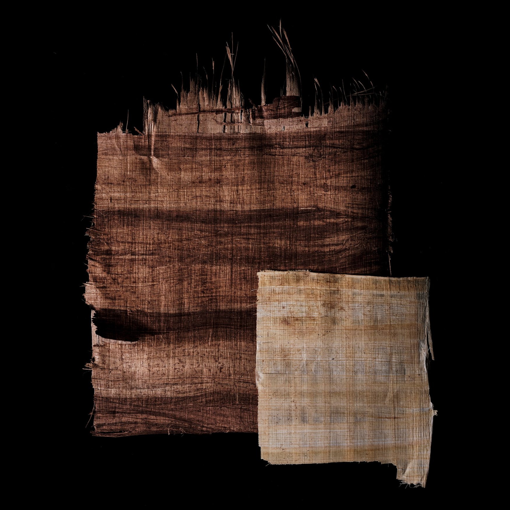 Papyrus