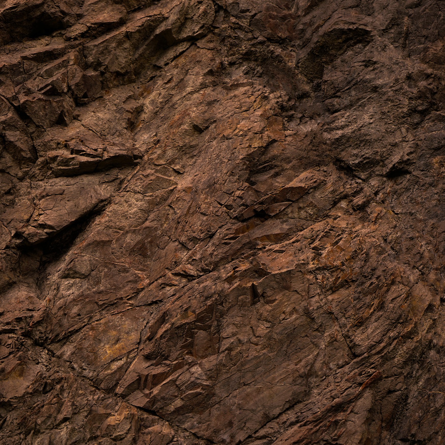 Hyraceum (Africa Stone)