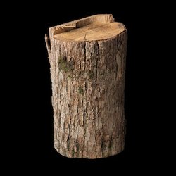Cipresso giapponese/Hinoki