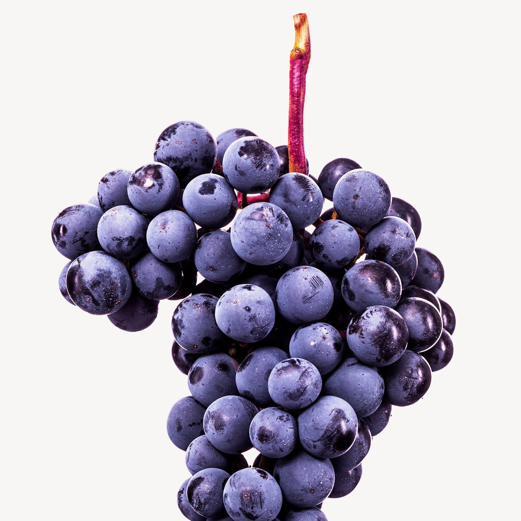Raisin (Muscat)