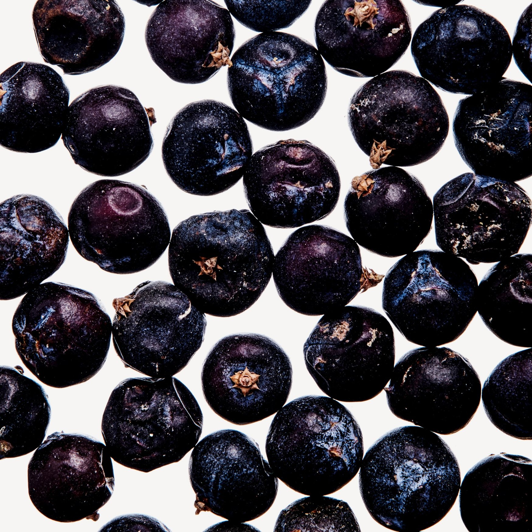 Juniper Berries