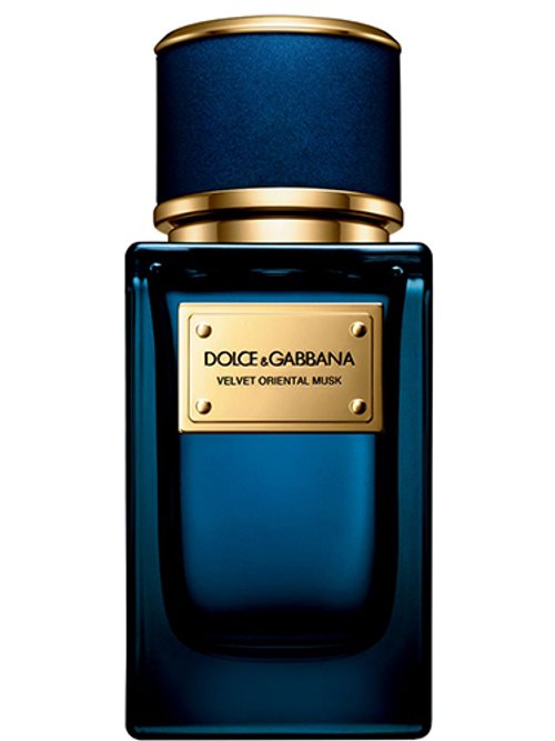 Dolce and gabbana outlet velvet