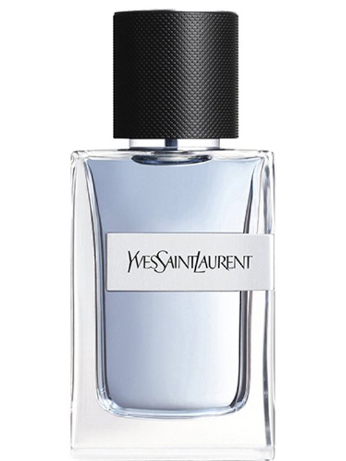 yves saint laurent cologne y