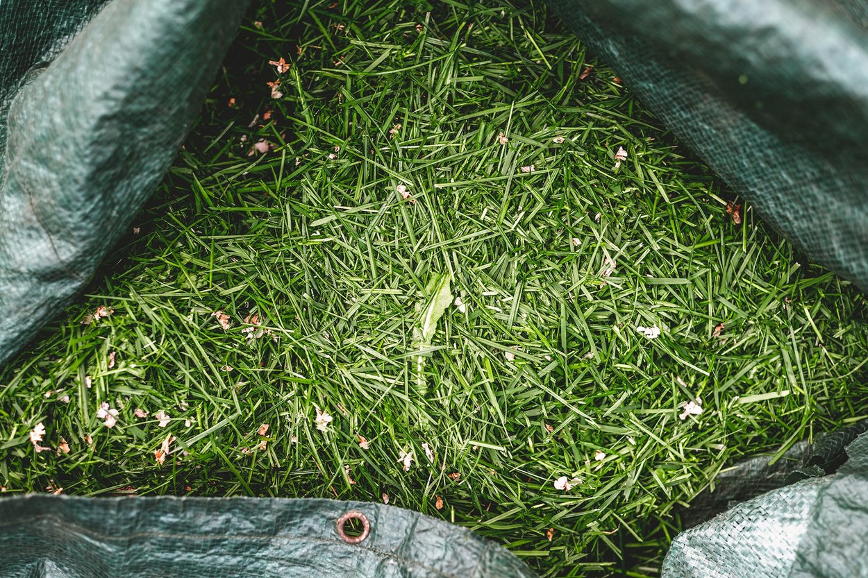 Fresh Cut Grass perfume ingredient Wikiparfum