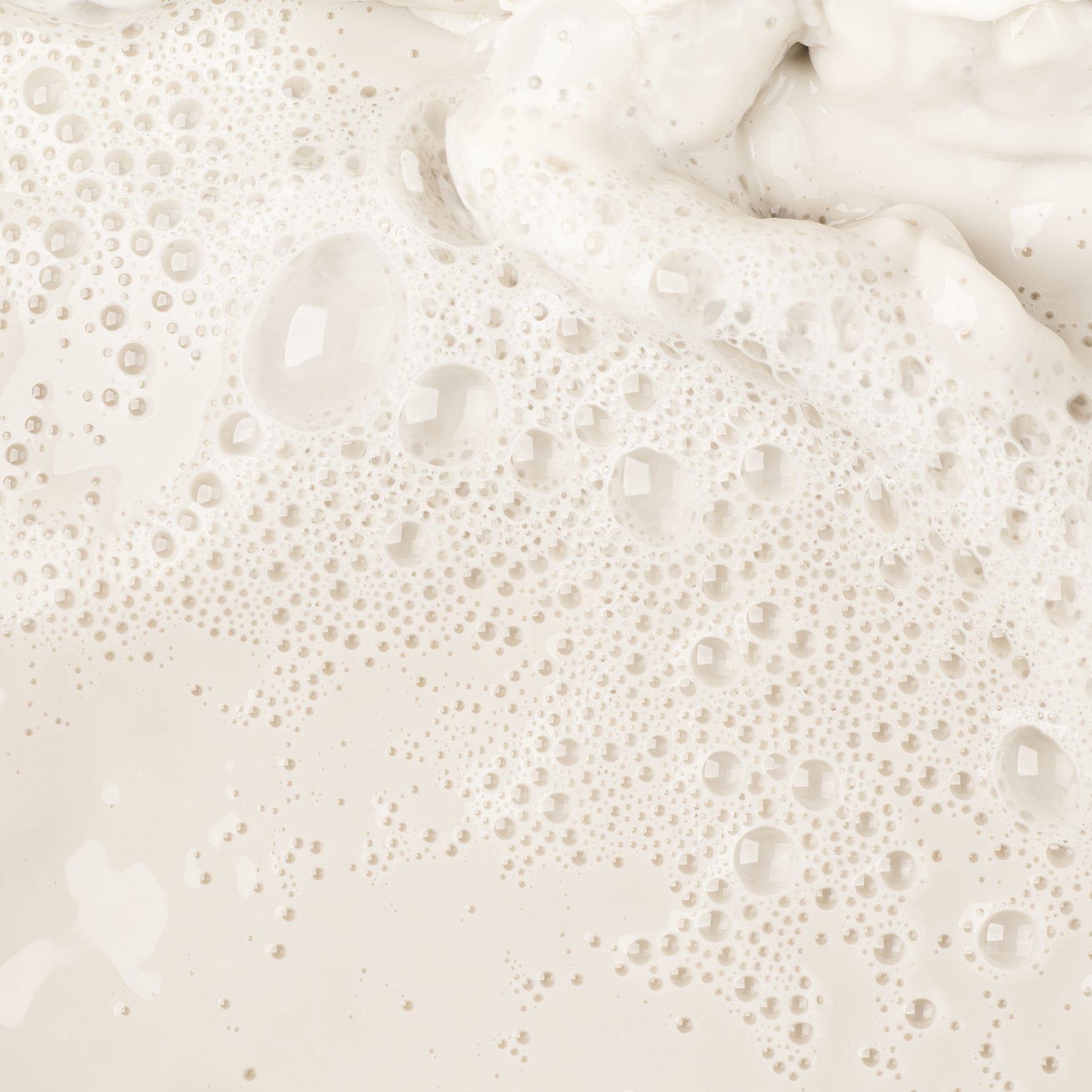 Milchmus