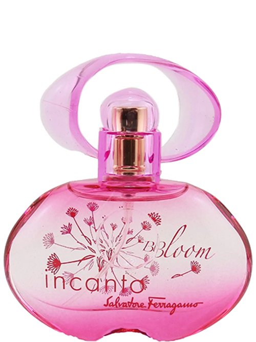 INCANTO BLOOM NEW EDITION perfume by Salvatore Ferragamo Wikiparfum