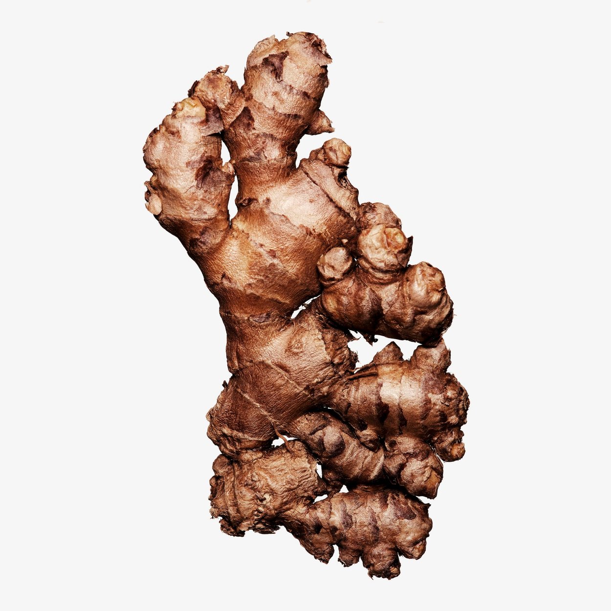 Ginger perfume ingredient Wikiparfum