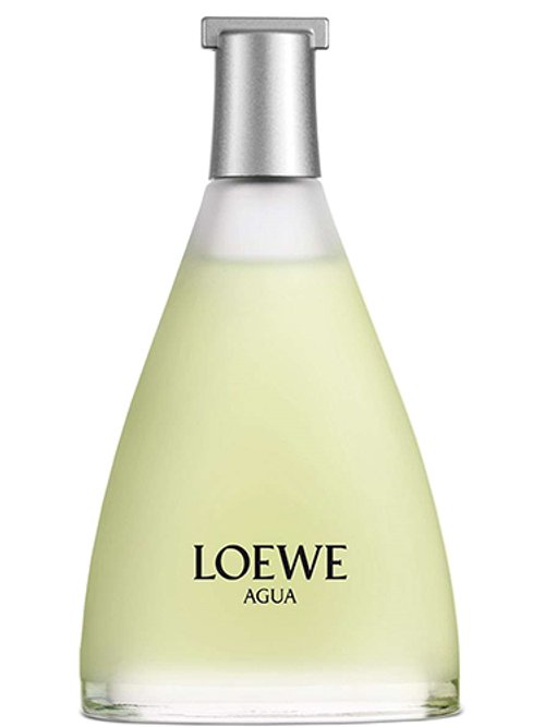 Loewe{ingredient}香水– Wikiparfum