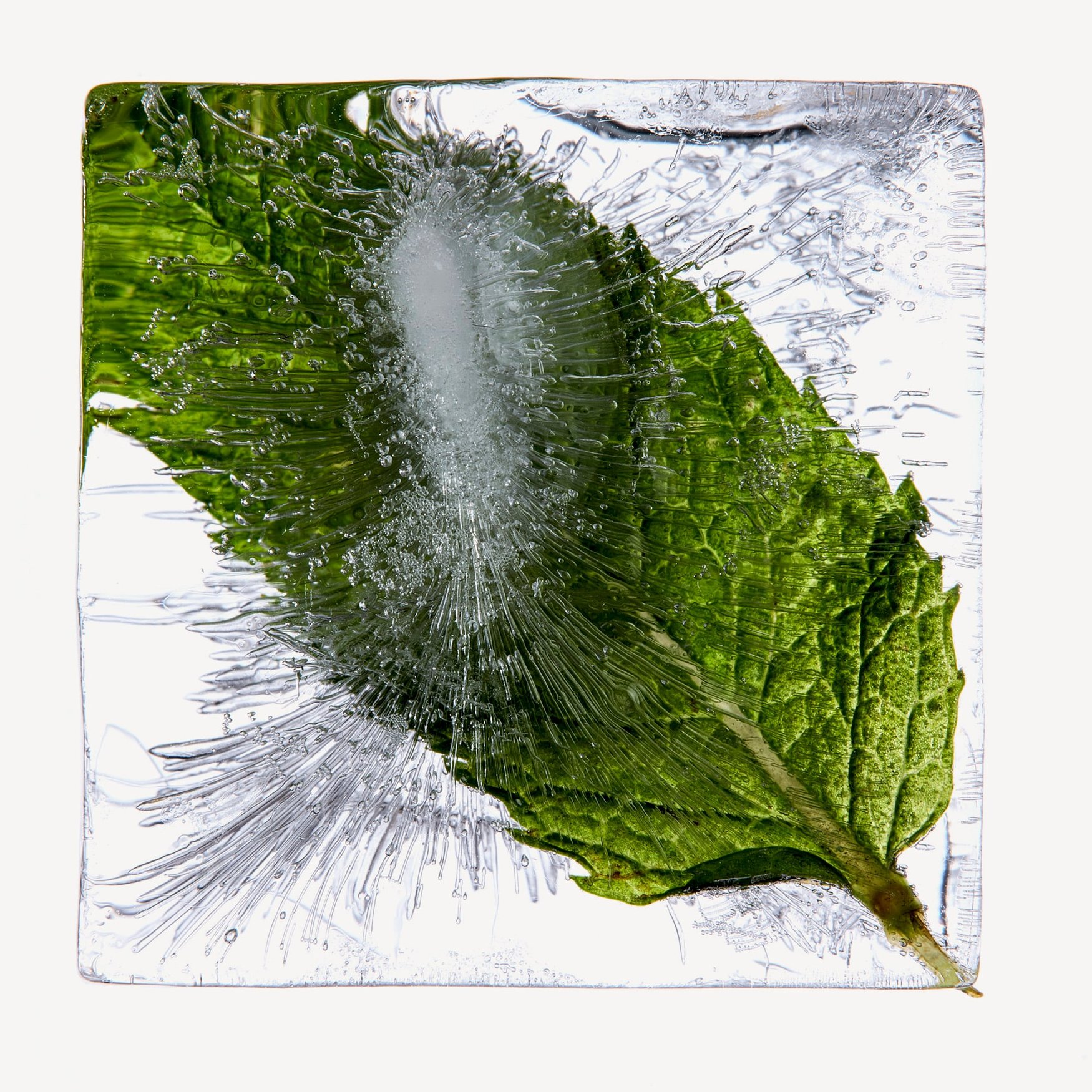 Menthe Gelée