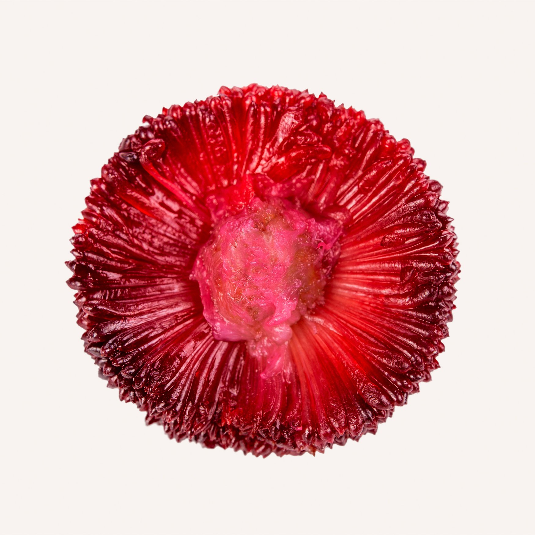 Fraise Chinoise