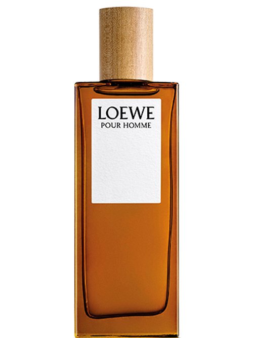 LOEWE POUR HOMME EAU DE TOILETTE perfume by Loewe Wikiparfum