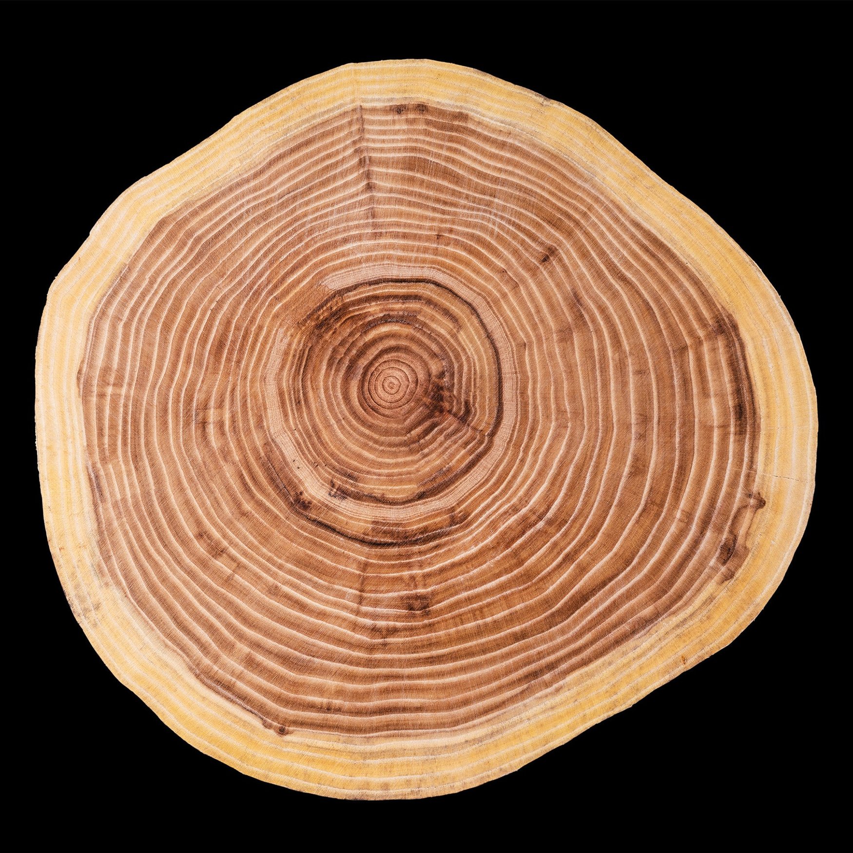 Woods (cherry)
