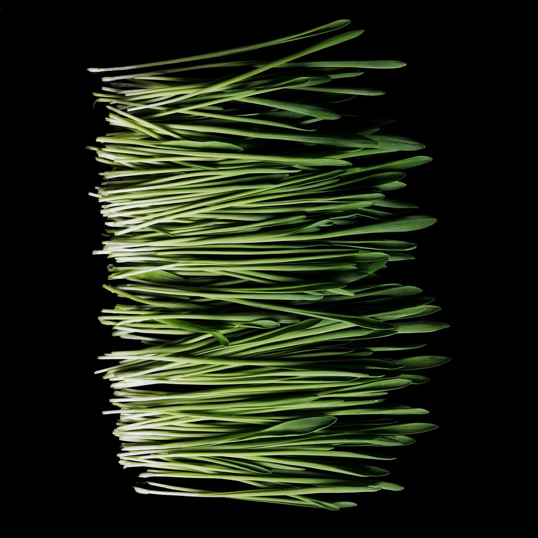 Green Notes