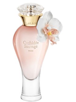 dbtgaet9498lp7ak1y48ie0oxyt70p