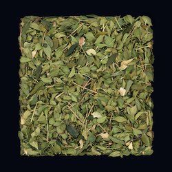 Buchu/Agathosma