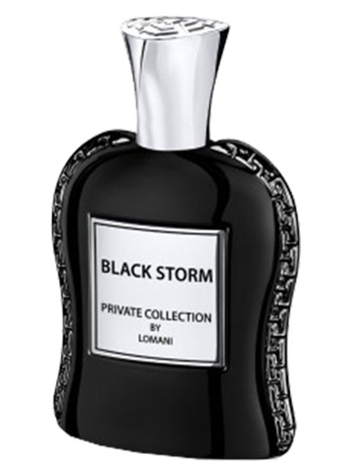 Lomani Unisex Black Storm EDP Spray 3.4 oz Fragrances 3610400036799
