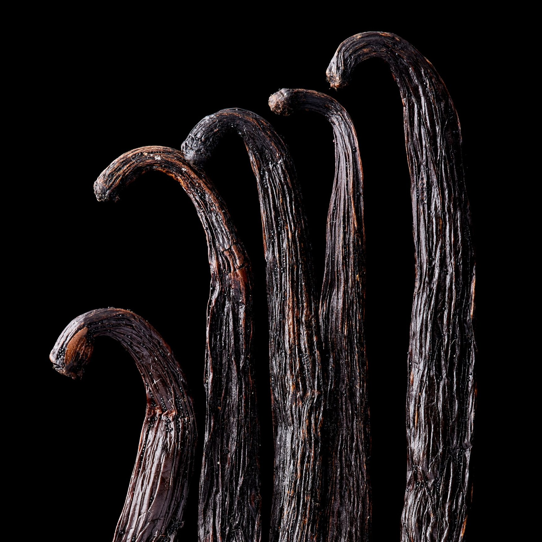 Vainilla (Madagascar)