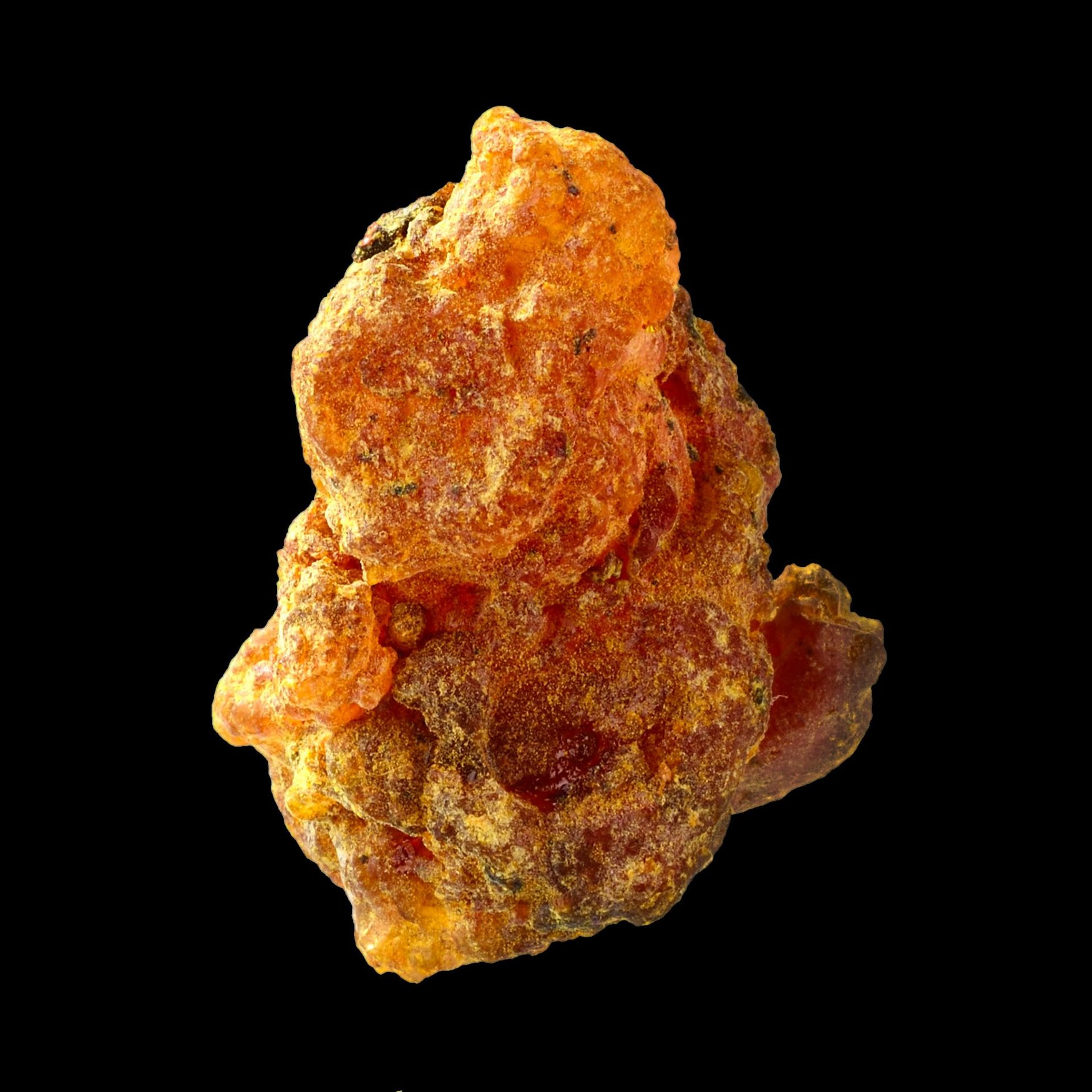 Elemi