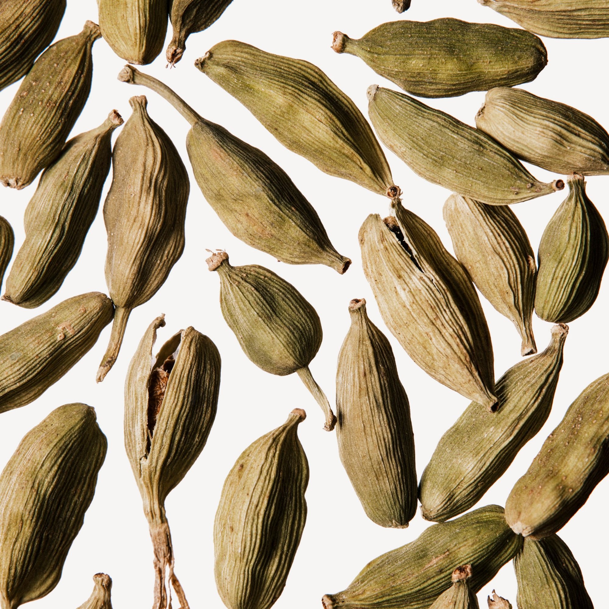 Cardamom perfume ingredient - Wikiparfum Cardamom perfume ingredient - Wikiparfum