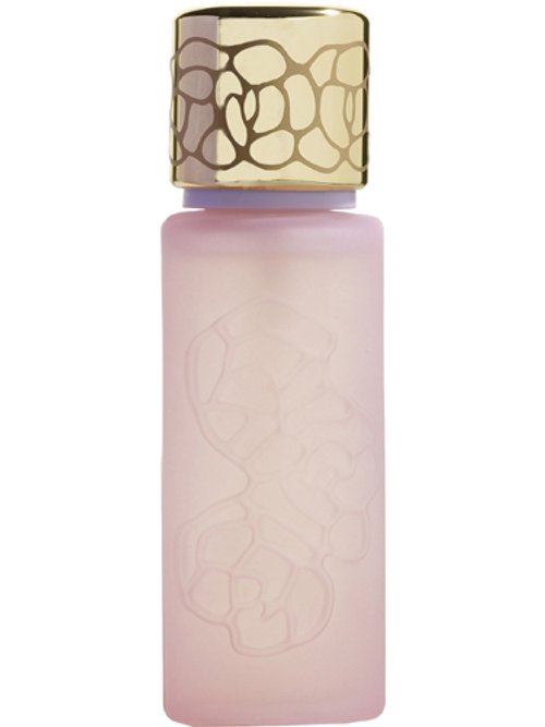 BELLE DE JOUR Dior perfume by Dior - Wikiparfum BELLE DE JOUR Dior perfume by Dior - Wikiparfum