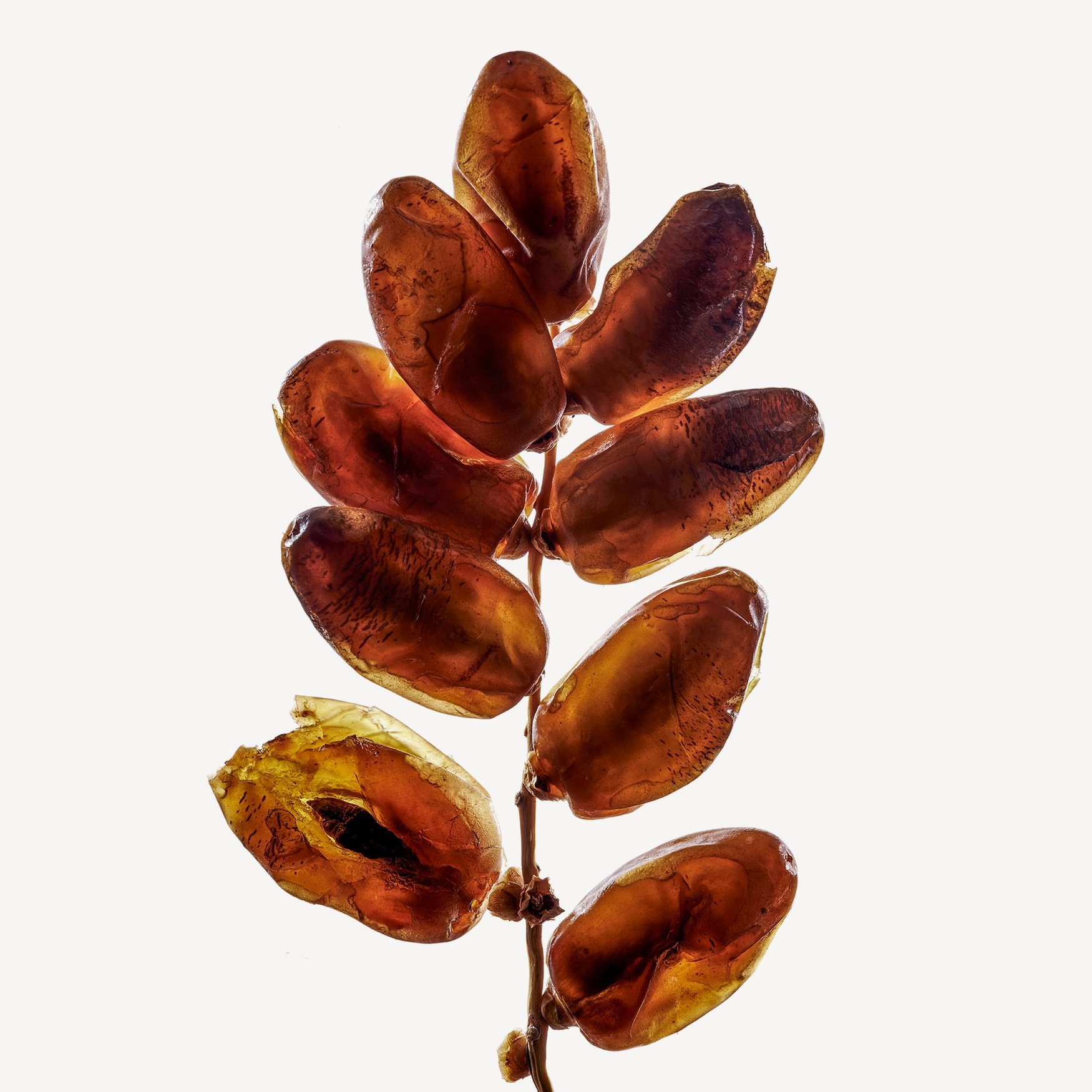 Dates