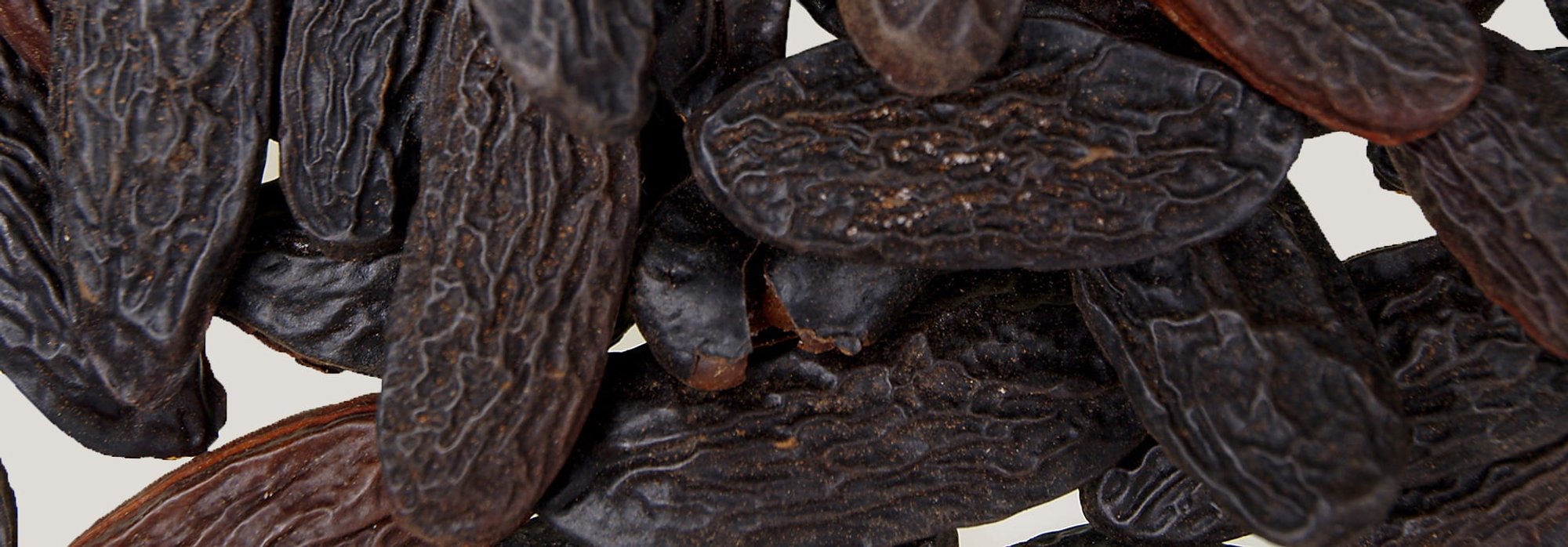 香香 日本香采堂櫻香詰合わせ四种樱花线香组合4种x15本附香立