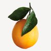橙子（巴伦西亚）
