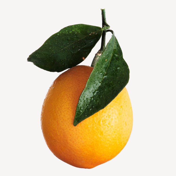 DOLCE & GABBANA フルーツコレクションOrange 期間限定品 Dolce and Gabbana Fruit Collection Orange Perfume - 5 oz.