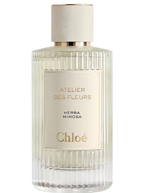 ノエル　✨新品未開封✨　Chloé HERBA MIMOSA 50ml Chloe Atelier Des Fleurs Herba Mimosa Eau De Parfum 50Ml